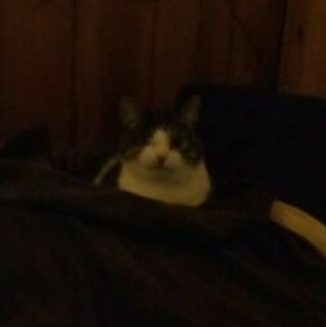 Meet your Posher, Tamara